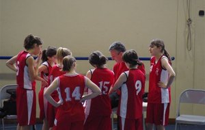 IMGP0884.JPG