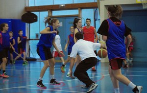 544f6f4172372_IMGP1282.JPG