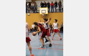 54ff3cc8d6a2d_IMG3817.JPG
