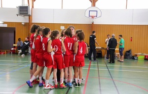 555b3aabc8520_IMG8896.JPG