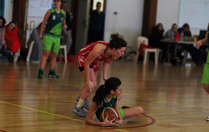 5a848f8ac0891_IMG6593.jpg
