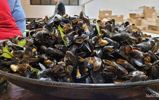 Moules Frites 2023